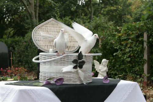 favourite-doves-in-heart-shaped-basket